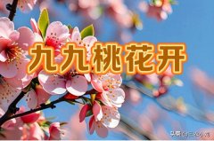 明日九九尾老话“不怕九九尾晴就怕阴”有啥说